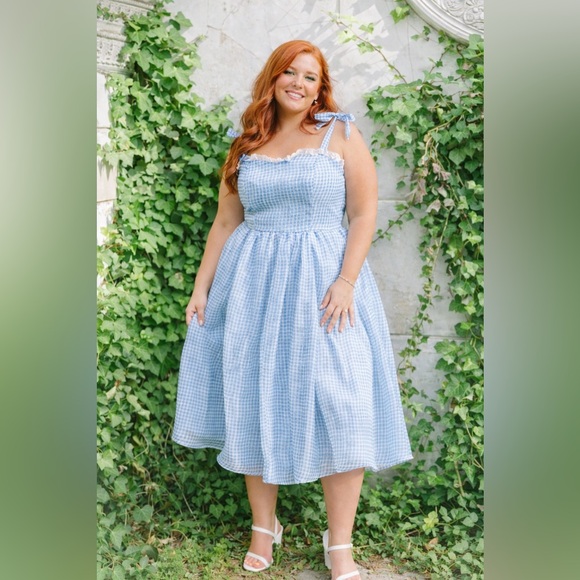 JessaKae Blue Gingham & Lace Priscilla Organza Midi Dress, 1x, NWT! - Picture 11 of 16